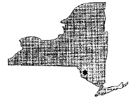 map of NYS goes here